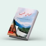 subas e hub cover copy (1)